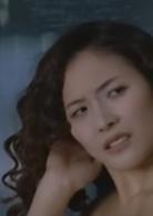 大四喜[2008年陳百祥主演電影]