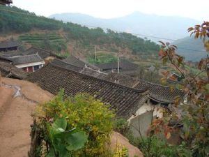 中丫口村 中丫口村