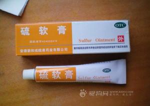 泌尿生殖道蠅蛆