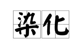染化 染化