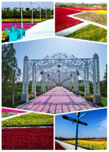 銀川綠博園 銀川綠博園