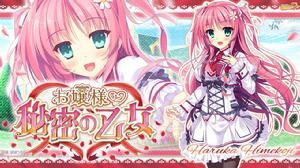 大小姐和秘密少女