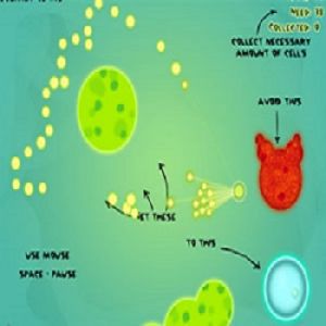 細胞的旅程 細胞的旅程