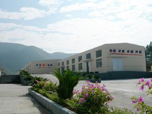 寶凱集團永泰縣城峰鎮生產基地