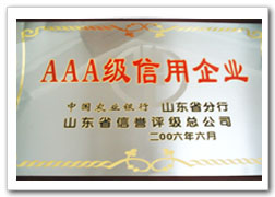 山東億惠製藥股份有限公司