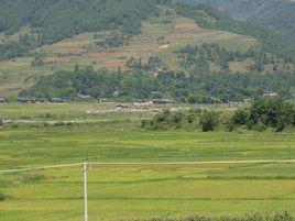 柞木樹自然村 柞木樹自然村