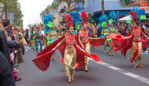 大加那利島狂歡節 大加那利島狂歡節