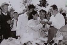 毛主席視察成安