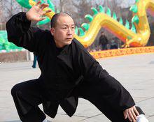 王海軍[西安市武術養生文化交流中心主任]