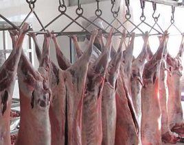 橫山羊肉 橫山羊肉