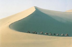 長途跋涉 長途跋涉