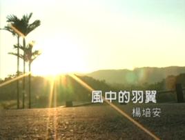 風中的羽翼 風中的羽翼