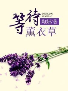 等待薰衣草 等待薰衣草