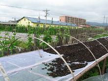 鳳山鎮[貴州省福泉市鳳山鎮]