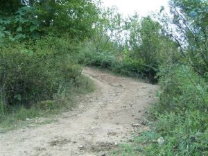谷登山自然村 谷登山自然村