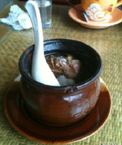 萍蓬根燉雞 萍蓬根燉雞