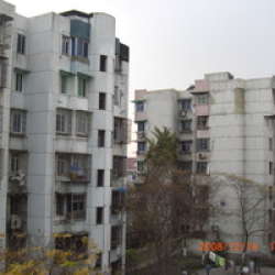 濮家東村 濮家東村