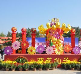 開封菊花節 開封菊花節