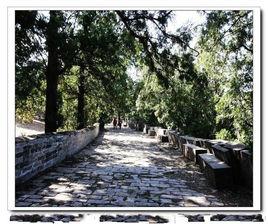 興陵[南明禮宗陵寢]