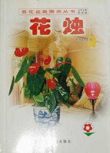 中國林業出版社