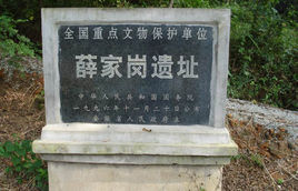 薛家崗古文化遺址 薛家崗古文化遺址