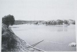 東下游村 東下游村