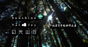 日光山谷 日光山谷