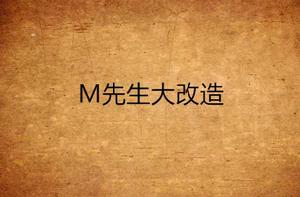 M先生大改造 M先生大改造