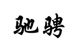馳騁[漢語詞語]