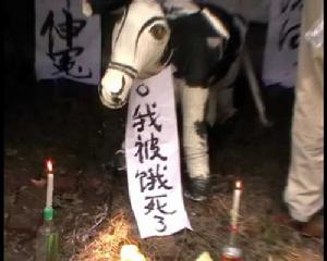 奶牛追悼會 奶牛追悼會