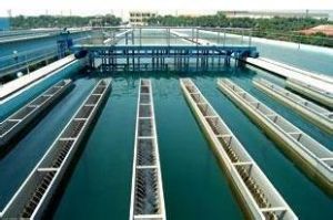 水產養殖業 水產養殖業