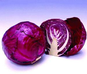 青花菜、紫甘藍病毒病 青花菜、紫甘藍病毒病