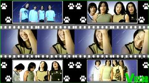 《流星雨》[歌曲]