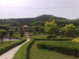 五頂茂陵山 五頂茂陵山