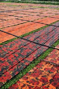 香雲紗染整技藝 香雲紗染整技藝