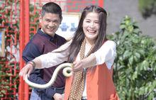 鄉約[CCTV7農業節目《鄉約》]