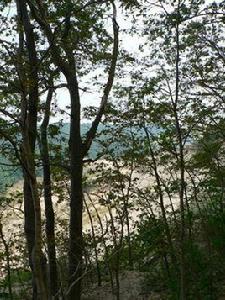 指尖的溫度 指尖的溫度