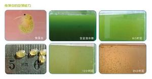 上海太和水環境科技發展有限公司