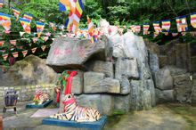 青龍山部分攝影