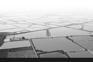 諸暨白塔湖國家濕地公園