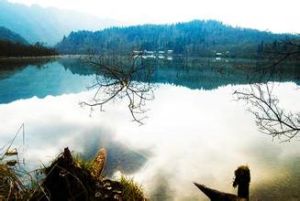 龍溪-虹口國家級自然保護區 龍溪-虹口國家級自然保護區