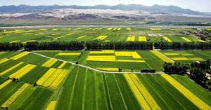 康家山村 康家山村