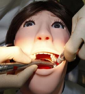 3月25日，在日本東京昭和大學，一名牙醫正在對新型牙科訓練機器人進行“治療”。