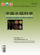 《中國水稻科學》中英文封面圖