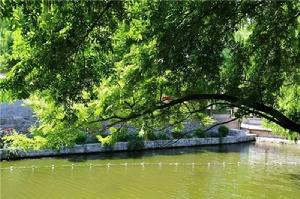 天平街道[山東省泰安市岱嶽區天平街道]