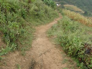 來根泥自然村 來根泥自然村