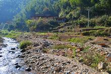 純淨的溪水邊上