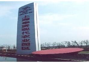 奉賢區現代農業園區 奉賢區現代農業園區