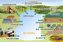 湖泊污染