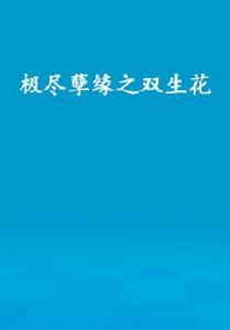 極盡孽緣之雙生花 極盡孽緣之雙生花